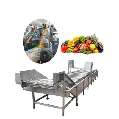 automatic vegetable and fruit washing machine leaf vegetable mung bean water air bubble brush industrial washer machine price