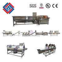 Automatic Frozen French Fries Production Processing Line