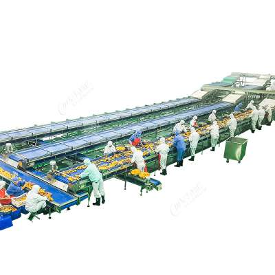 canned frozen vegetable Filling Sterilization Production Line