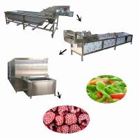 vegetable fruit processing line for quick frozen fruit dices frozen pineapples chunks frozen processing line