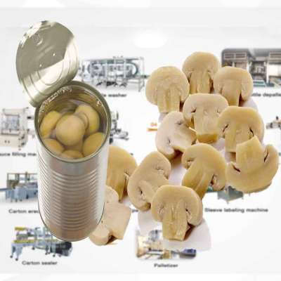 Automatic mushroom production equipment, mushroom canning line